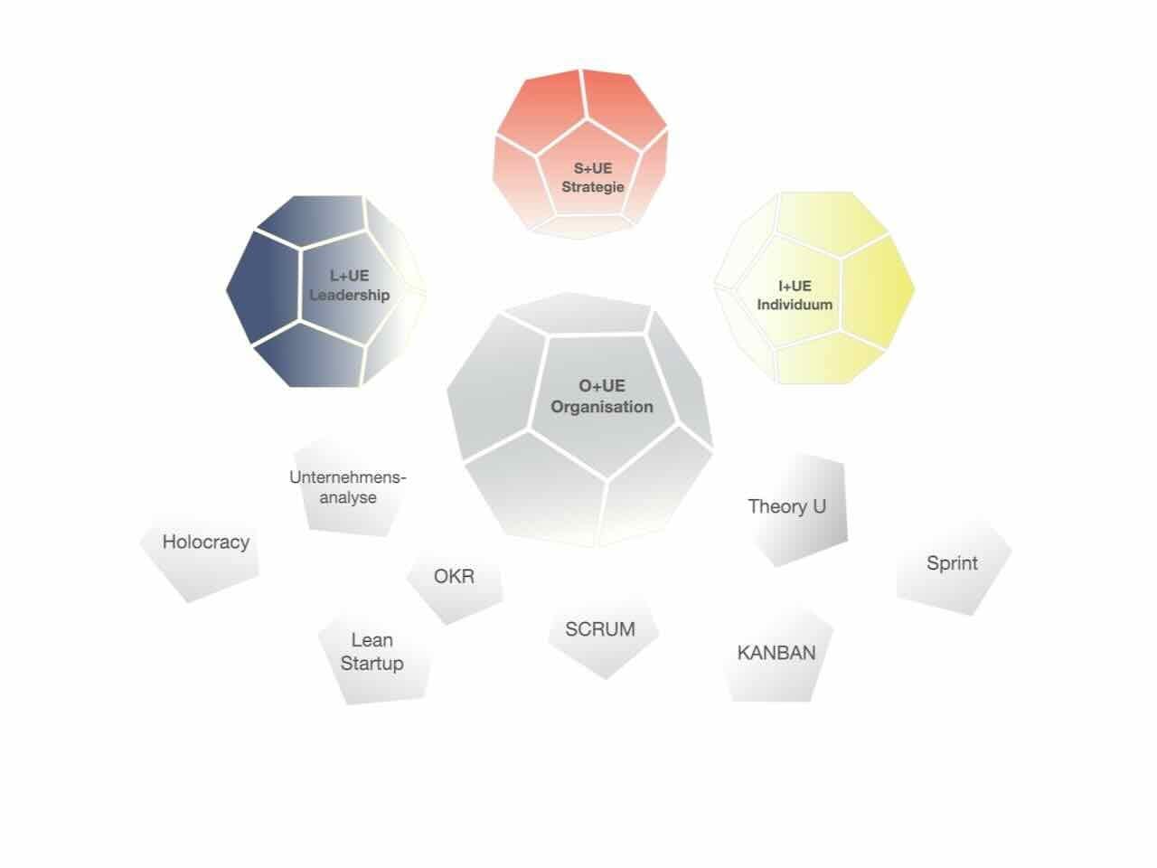 Kraftvolle Organisationen und Unternehmensentwicklung