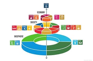 Falsche Transformationstatsachen