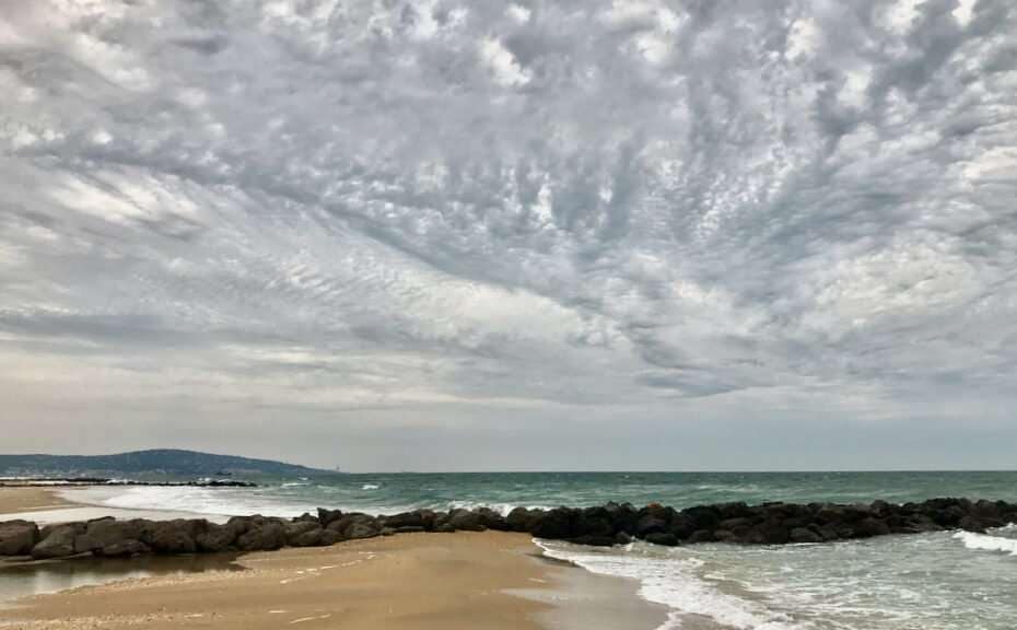 Vertrag mit Mensch und Natur