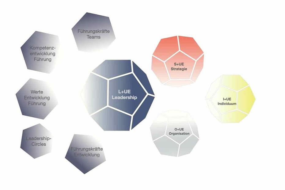 Leadership und Unternehmensentwicklung