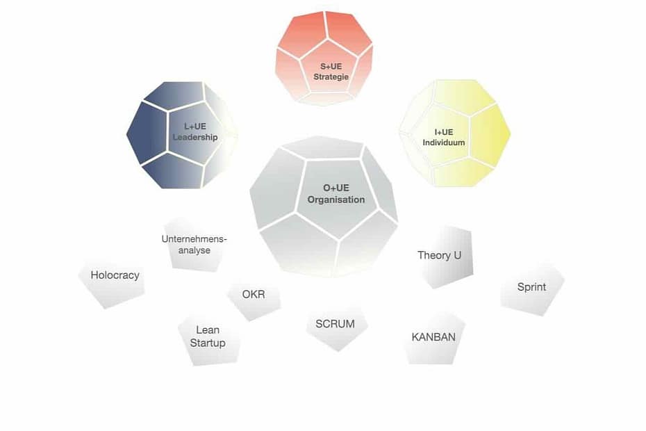 Kraftvolle Organisationen und Unternehmensentwicklung