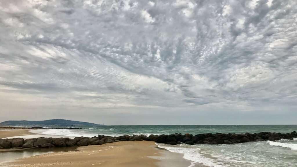 Vertrag mit Mensch und Natur