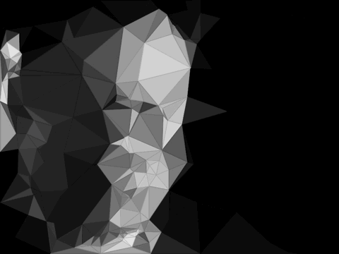 die masken des herrn musk